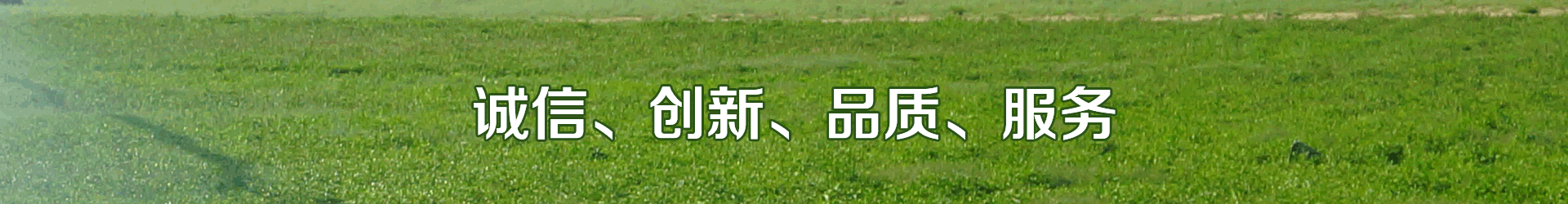 香蕉成人A片视频係統