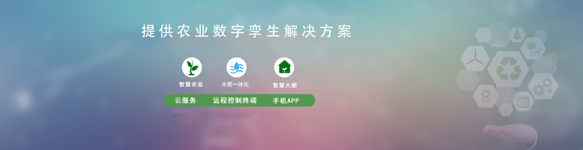 節水香蕉成人A片视频