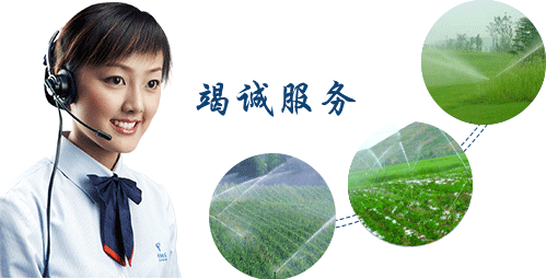 節水香蕉成人A片视频