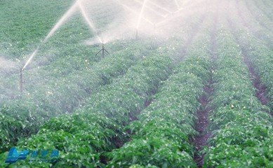 香蕉成人A片视频係統