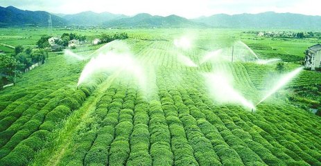 香蕉成人A片视频係統