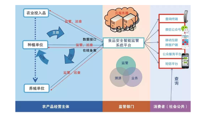 農業香蕉成人A片视频